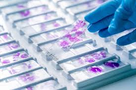 Diagnostics & Pathology